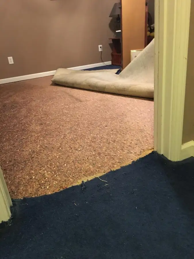Carpet pad removal revealing water damage during Drying & Dehumidification in Dardenne Prairie